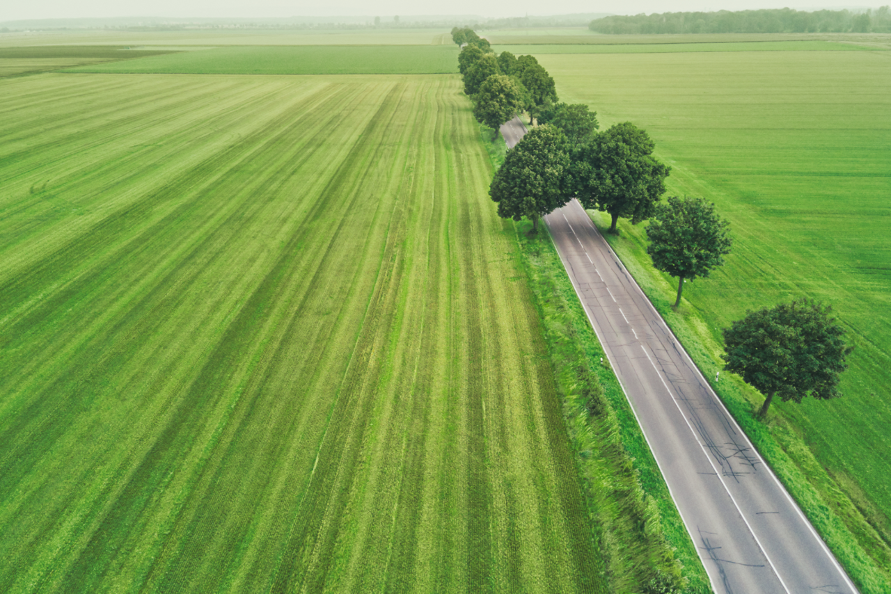 Umwelt.Straße